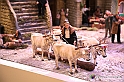 VBS_9662 - Presepe Monumentale della Basilicata